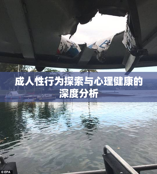 成人性行为探索与心理健康的深度分析