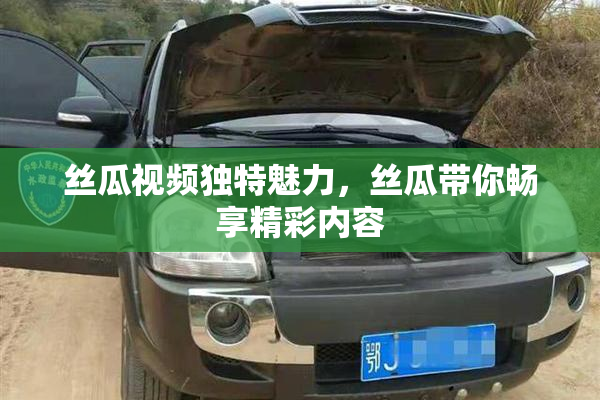 丝瓜视频独特魅力，丝瓜带你畅享精彩内容