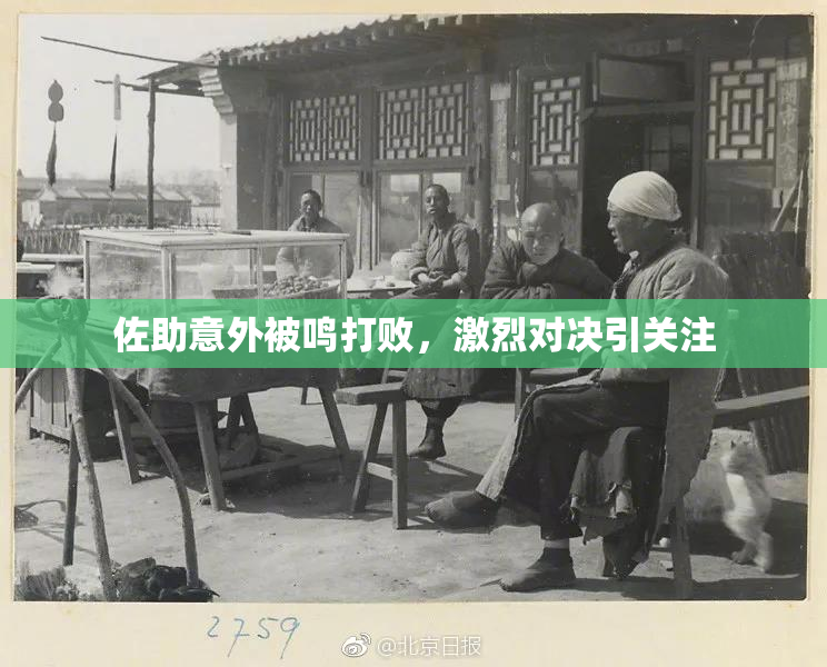 佐助意外被鸣打败，激烈对决引关注
