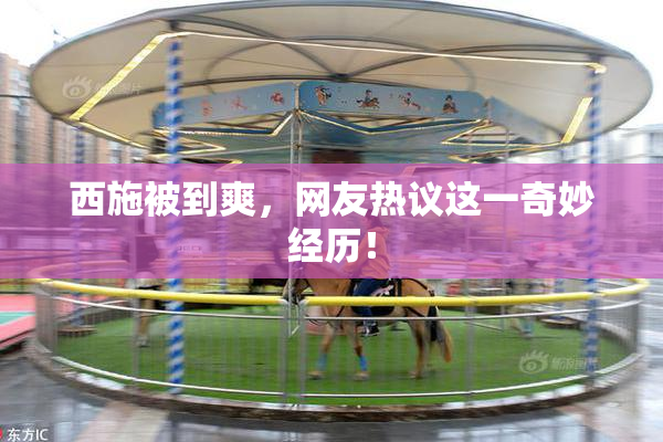 西施被到爽，网友热议这一奇妙经历！