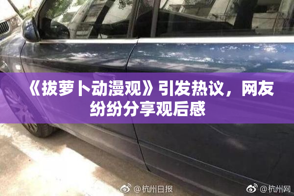 《拔萝卜动漫观》引发热议，网友纷纷分享观后感