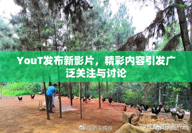 YouT发布新影片，精彩内容引发广泛关注与讨论