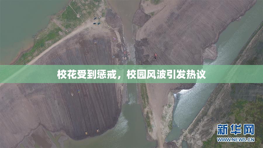 校花受到惩戒，校园风波引发热议