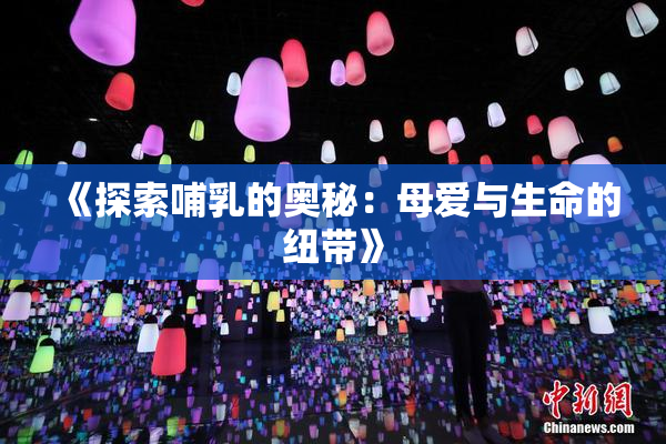 《探索哺乳的奥秘：母爱与生命的纽带》