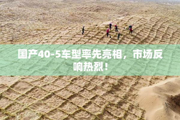 国产40-5车型率先亮相，市场反响热烈！