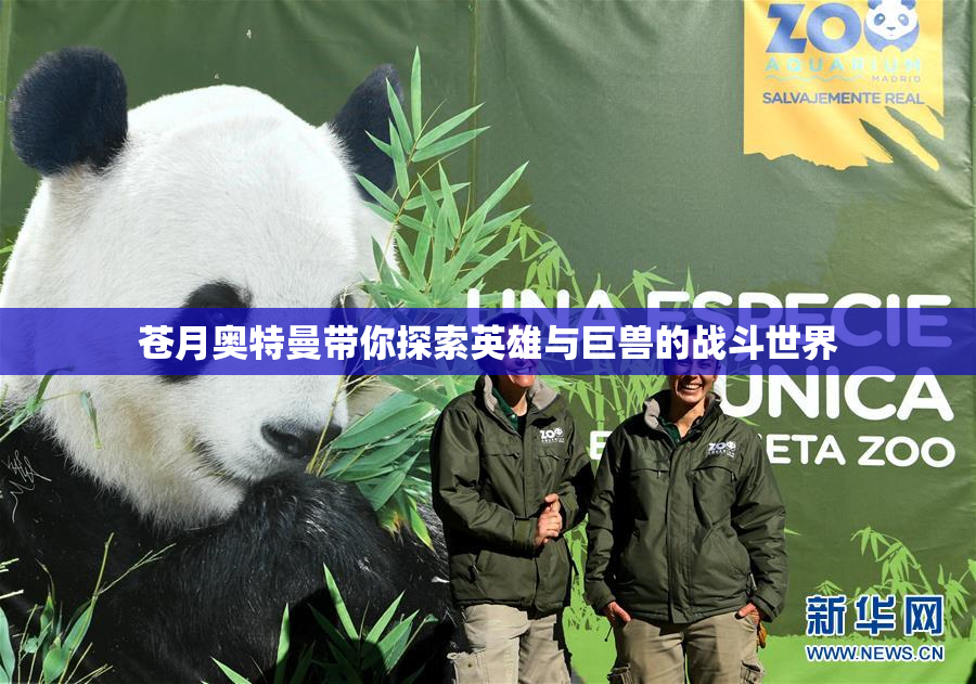苍月奥特曼带你探索英雄与巨兽的战斗世界