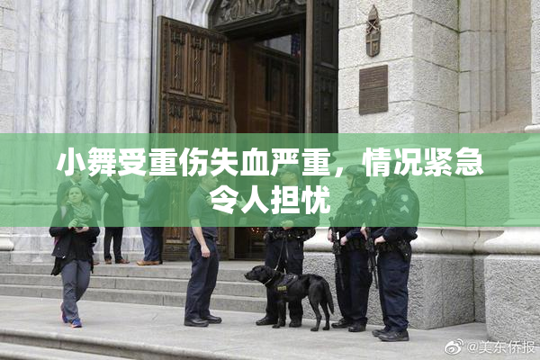 小舞受重伤失血严重，情况紧急令人担忧