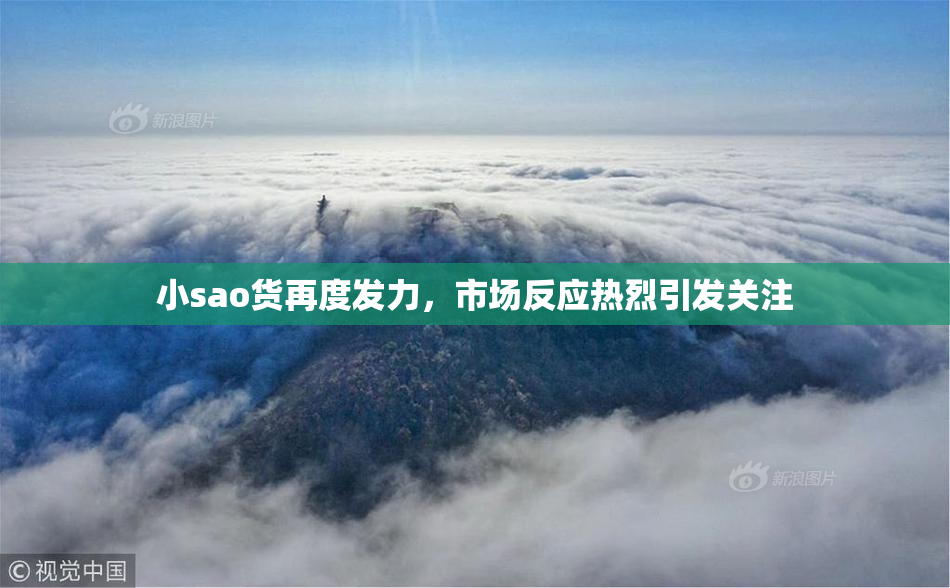 小sao货再度发力，市场反应热烈引发关注