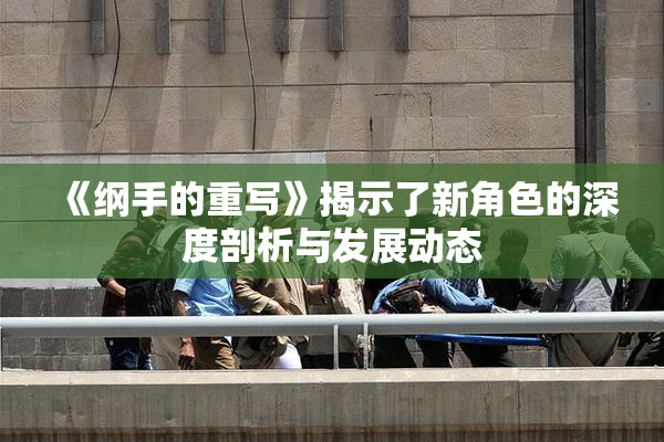 《纲手的重写》揭示了新角色的深度剖析与发展动态