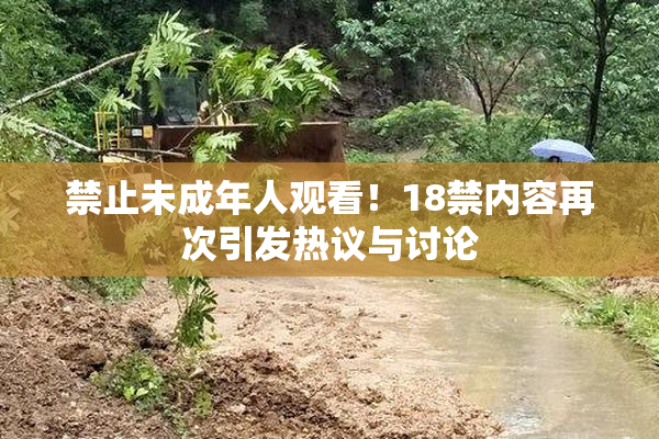 禁止未成年人观看！18禁内容再次引发热议与讨论