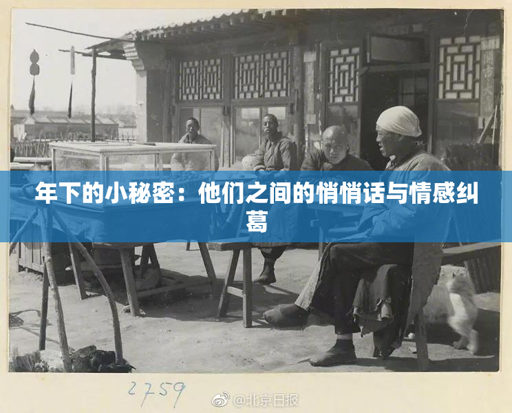 年下的小秘密：他们之间的悄悄话与情感纠葛