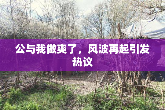 公与我做爽了，风波再起引发热议