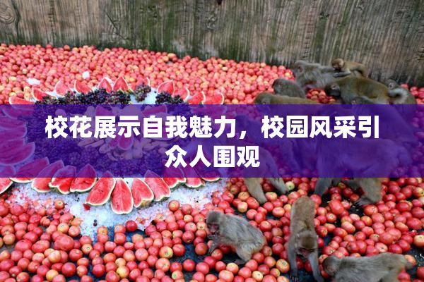 校花展示自我魅力，校园风采引众人围观