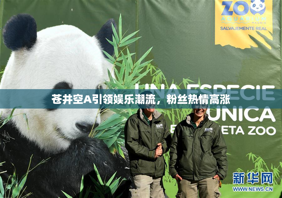苍井空A引领娱乐潮流，粉丝热情高涨