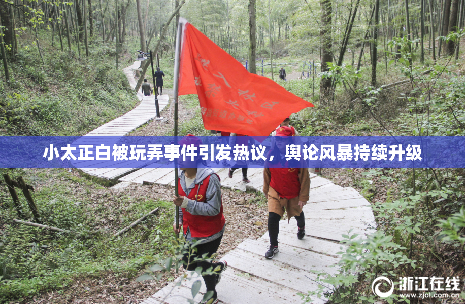小太正白被玩弄事件引发热议，舆论风暴持续升级