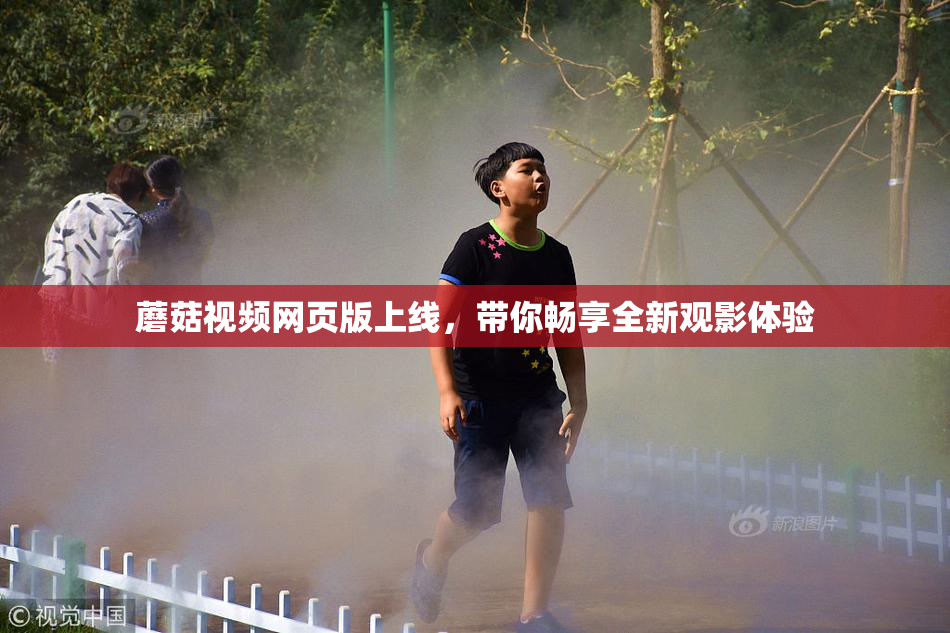 蘑菇视频网页版上线，带你畅享全新观影体验