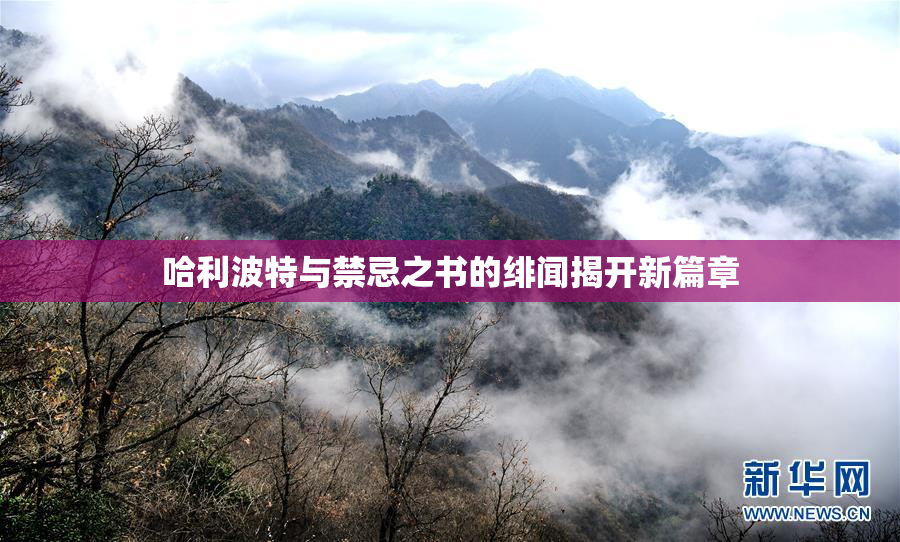 哈利波特与禁忌之书的绯闻揭开新篇章