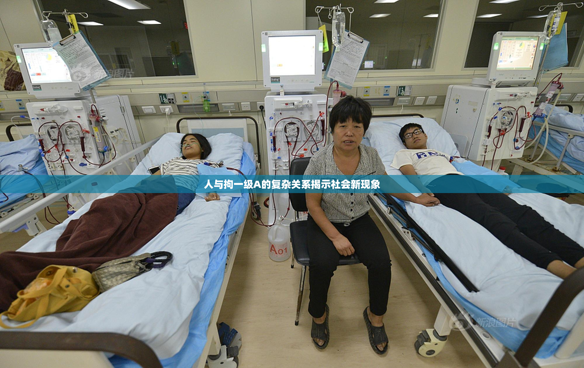人与拘一级A的复杂关系揭示社会新现象