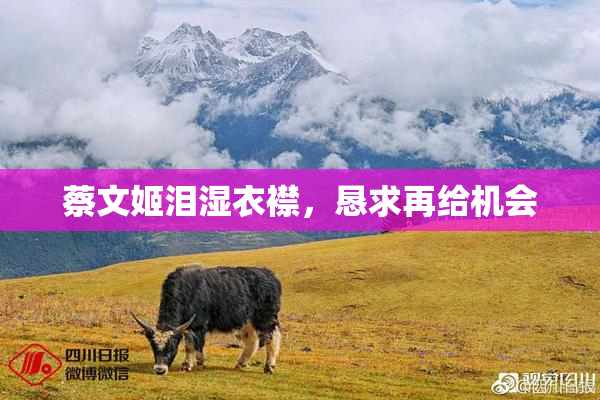 蔡文姬泪湿衣襟，恳求再给机会