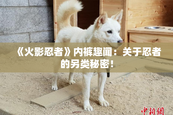 《火影忍者》内裤趣闻：关于忍者的另类秘密！