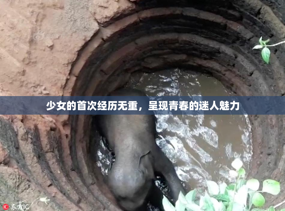 少女的首次经历无重，呈现青春的迷人魅力