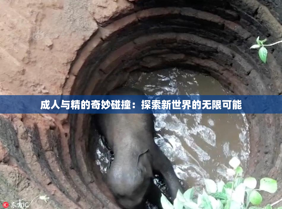 成人与精的奇妙碰撞：探索新世界的无限可能