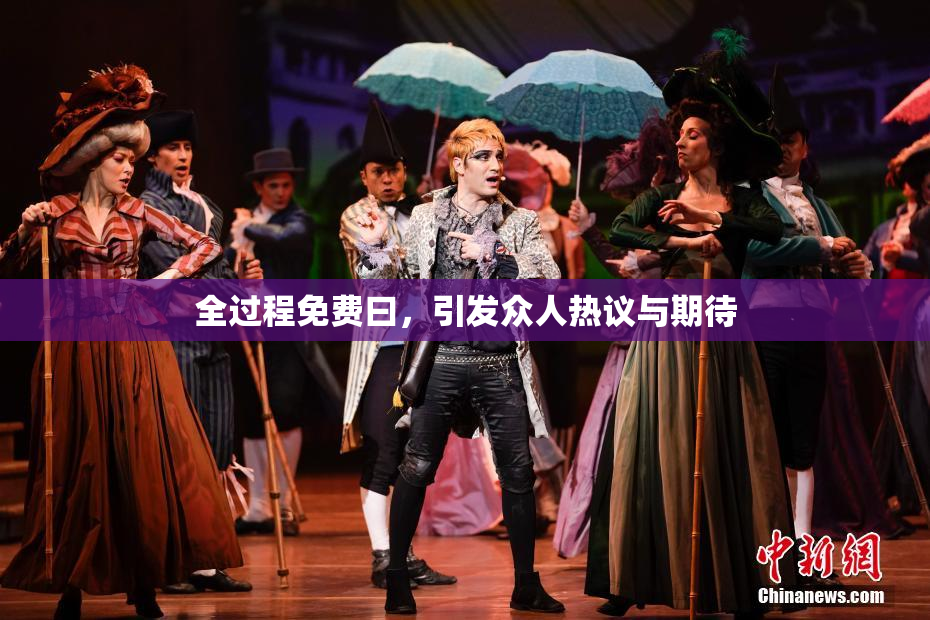 全过程免费曰，引发众人热议与期待