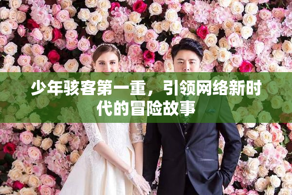 少年骇客第一重，引领网络新时代的冒险故事