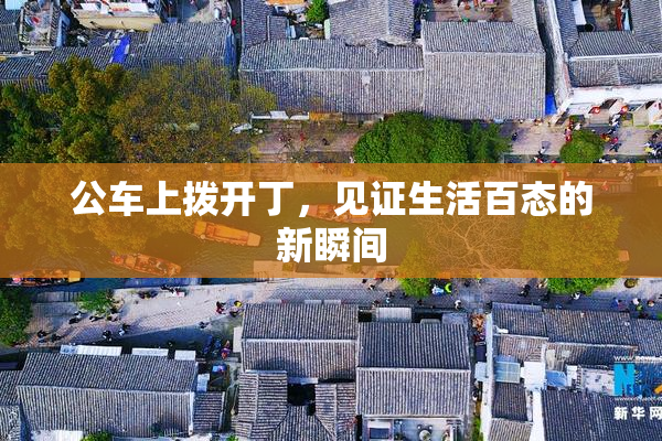 公车上拨开丁，见证生活百态的新瞬间