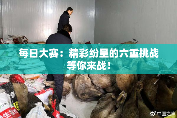 每日大赛：精彩纷呈的六重挑战等你来战！