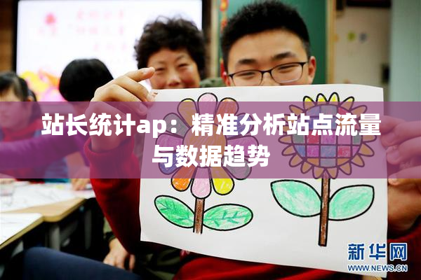 站长统计ap：精准分析站点流量与数据趋势
