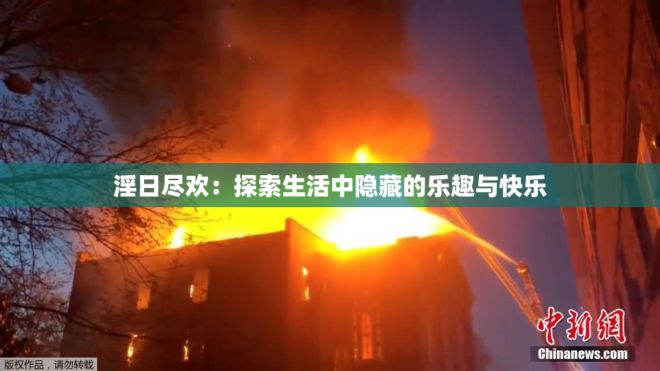 淫日尽欢：探索生活中隐藏的乐趣与快乐