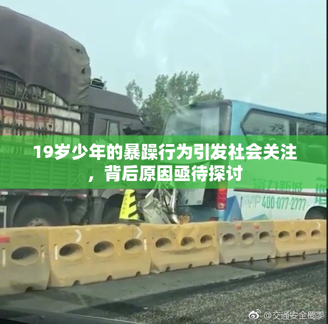 19岁少年的暴躁行为引发社会关注，背后原因亟待探讨