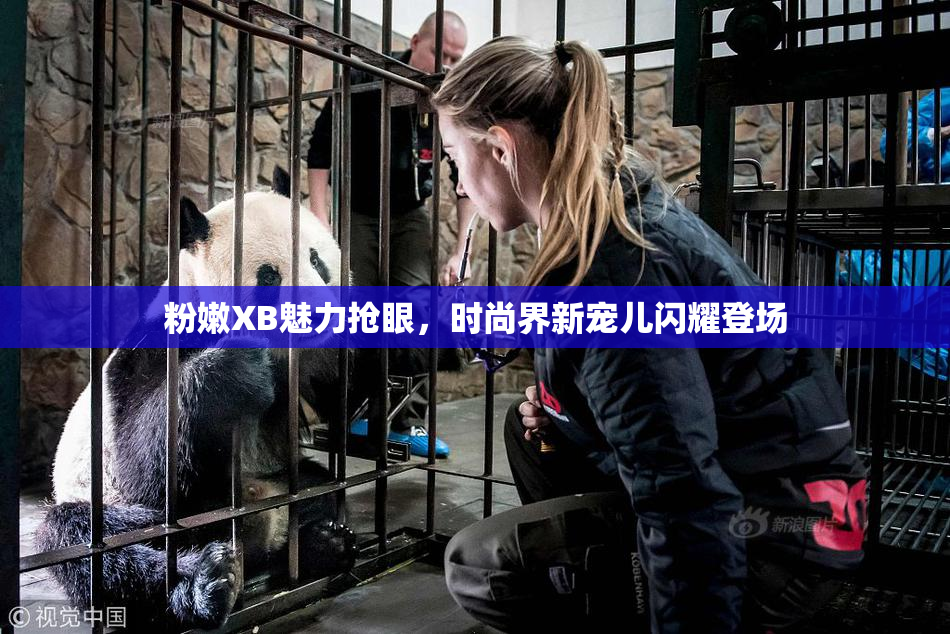 粉嫩XB魅力抢眼，时尚界新宠儿闪耀登场