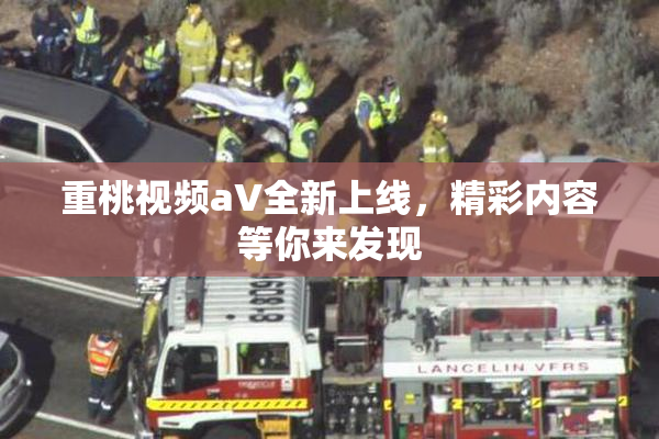 重桃视频aV全新上线，精彩内容等你来发现