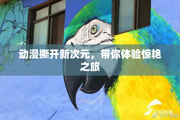 动漫撕开新次元，带你体验惊艳之旅