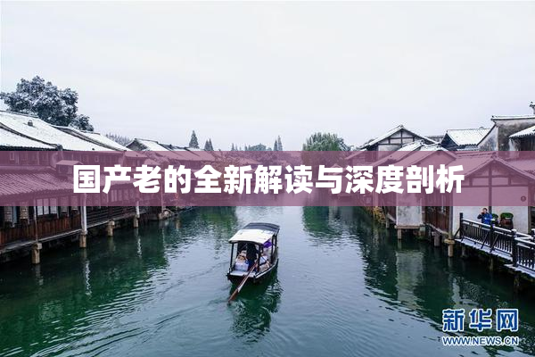 国产老的全新解读与深度剖析