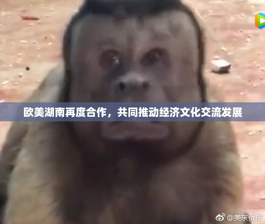 欧美湖南再度合作，共同推动经济文化交流发展