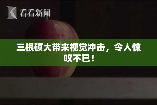 三根硕大带来视觉冲击，令人惊叹不已！