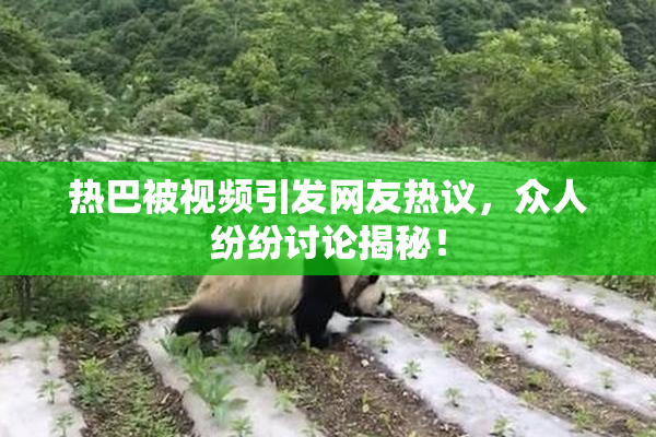 热巴被视频引发网友热议，众人纷纷讨论揭秘！