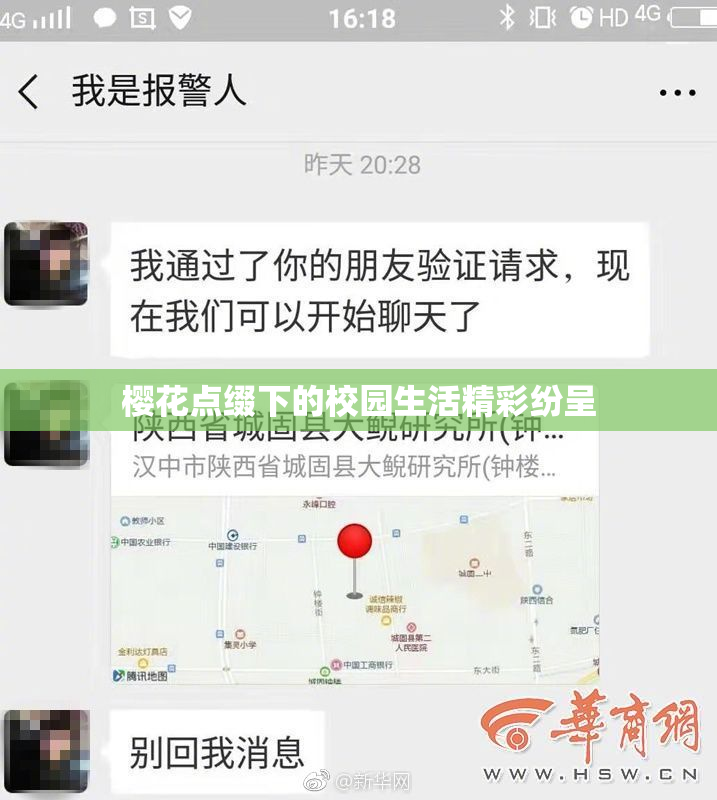 樱花点缀下的校园生活精彩纷呈