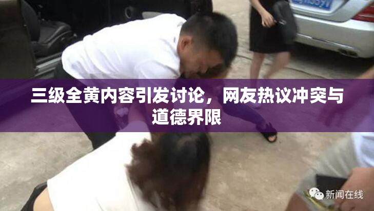 三级全黄内容引发讨论，网友热议冲突与道德界限