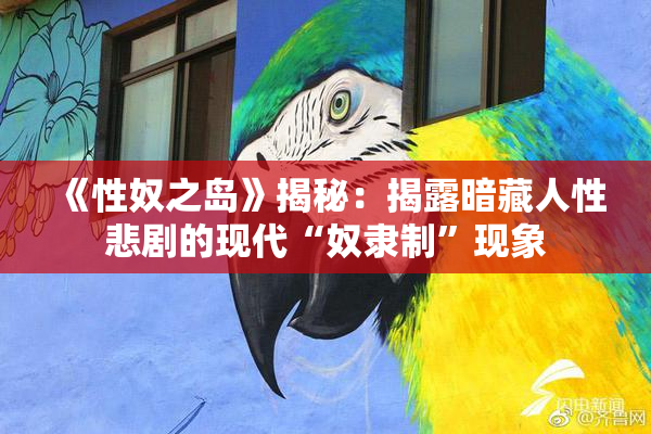 《性奴之岛》揭秘：揭露暗藏人性悲剧的现代“奴隶制”现象