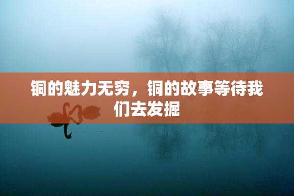 铜的魅力无穷，铜的故事等待我们去发掘