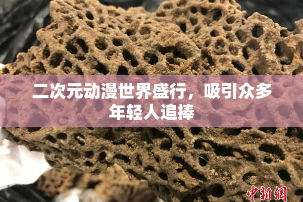 二次元动漫世界盛行，吸引众多年轻人追捧