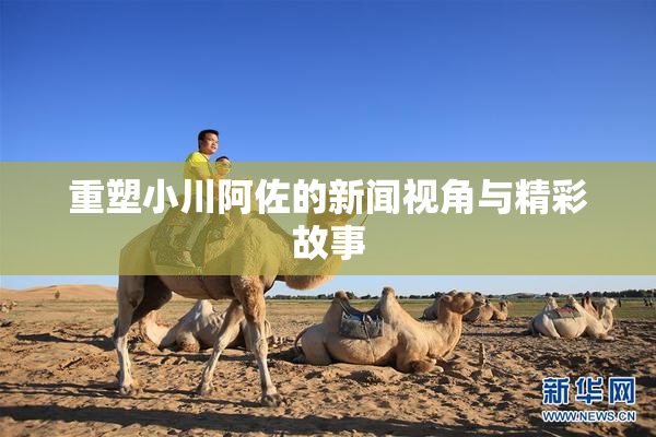 重塑小川阿佐的新闻视角与精彩故事