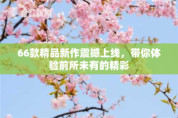 66款精品新作震撼上线，带你体验前所未有的精彩