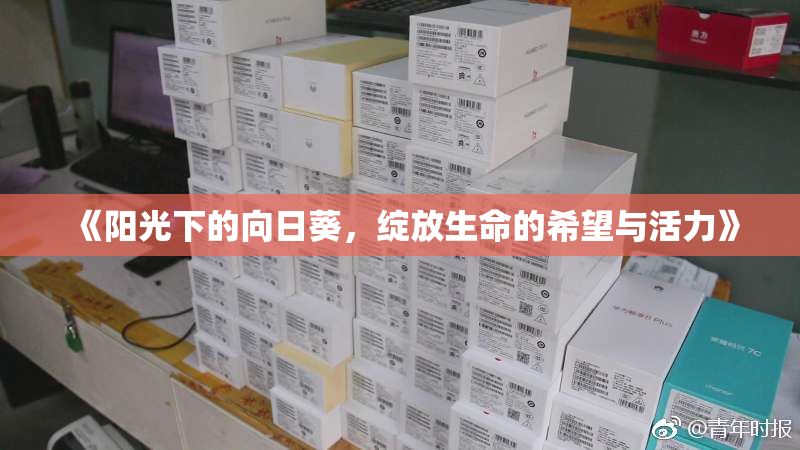 《阳光下的向日葵，绽放生命的希望与活力》