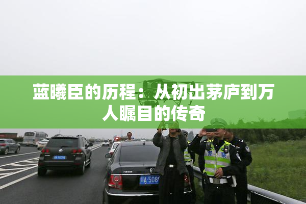 蓝曦臣的历程：从初出茅庐到万人瞩目的传奇