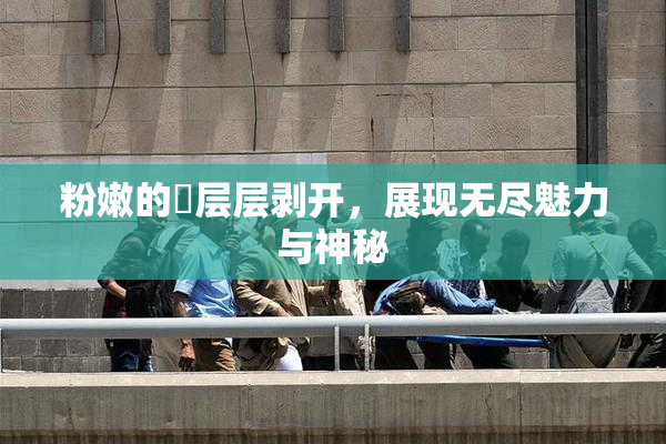 粉嫩的泬层层剥开，展现无尽魅力与神秘
